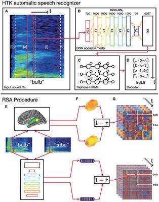 On the similarities of representations in artificial and brain neural networks for speech recognition